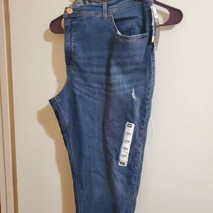 Lee capris